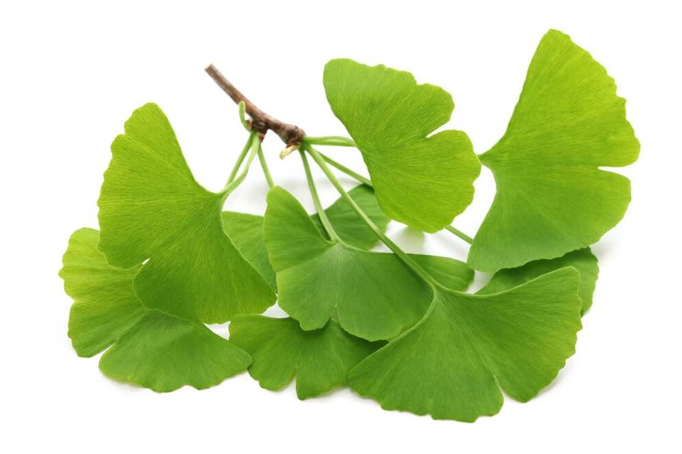 Ginkgo biloba en cápsulas Glucoren